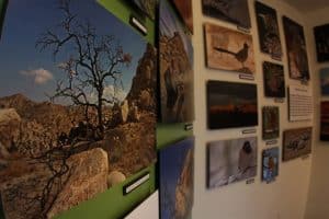 Art Galleries at Joshua Tree National Park