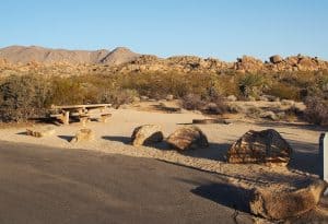 Cottonwood Campground in Joshua Tree