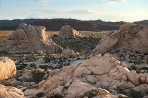 Hidden Valley Campground in Joshua Tree