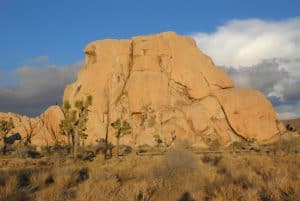 Intersection Rock at Joshua Tree National Park