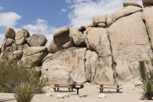 Quail Springs Picnic Area at Joshua Tree National Park