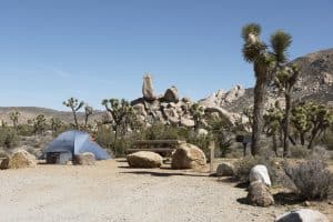 Ryan Campground in Joshua Tree