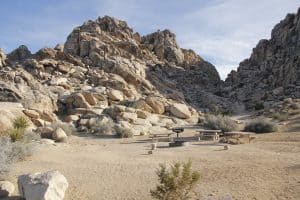 Sheep Pass Campground in Joshua Tree National Park