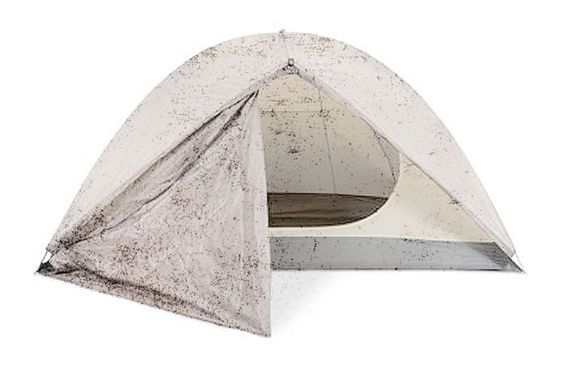 Mold on canvas tents