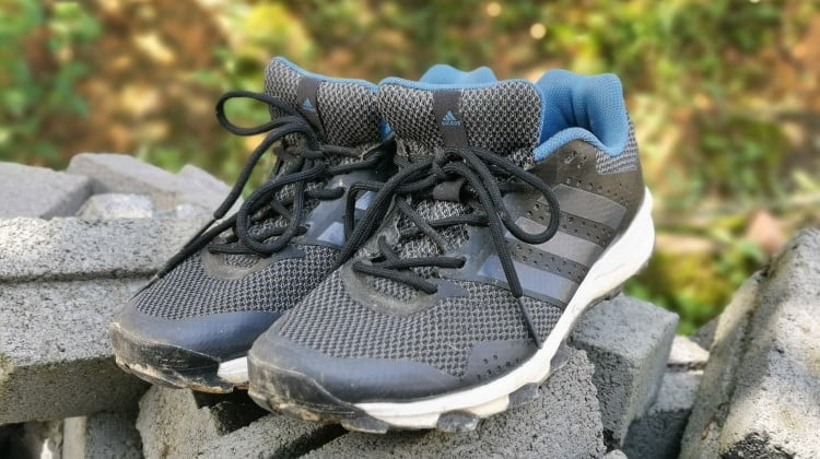 Adidas hiking shoes
