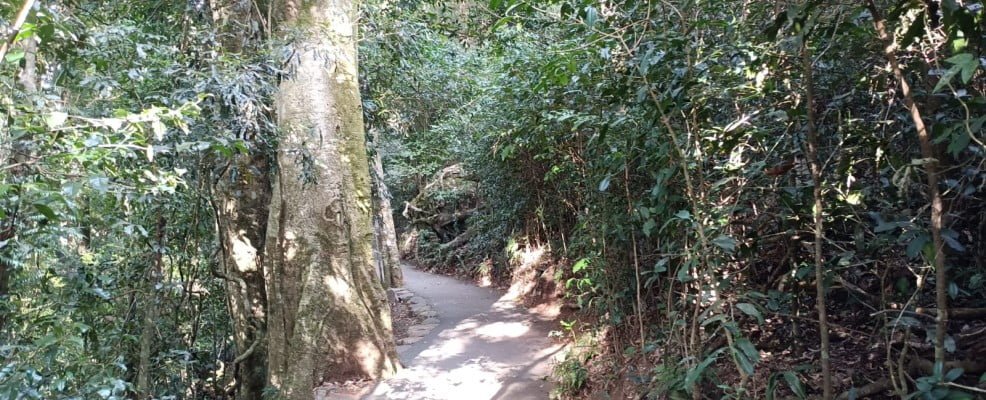 Hiking Trail in Australia