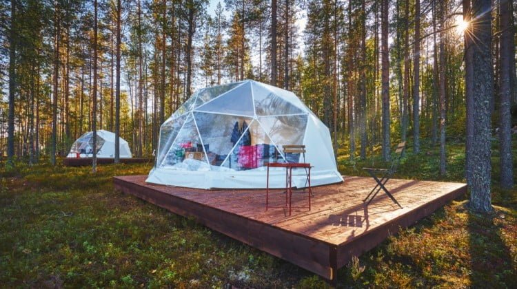 Clear top tent setup in a forest